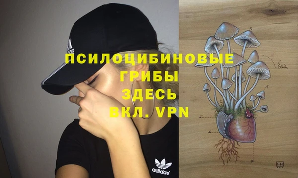 спайс Абдулино